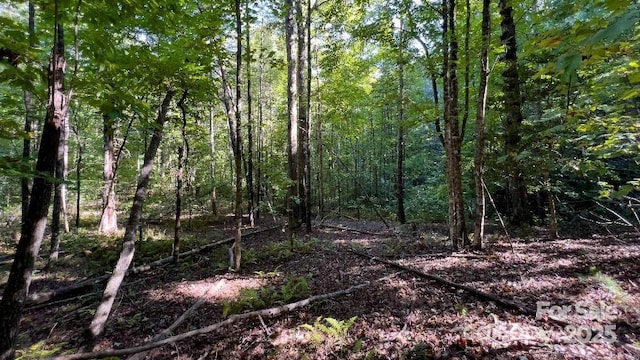 Listing photo 2 for TBD Quiet Creek Lane, Lenoir NC 28645