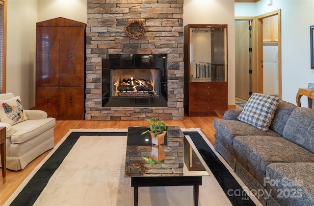 living room featuring a fireplace and wood finished floors