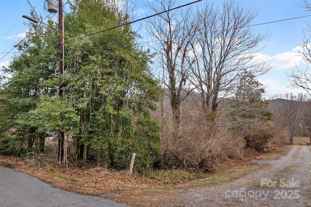 25 John Myra Ave, Black Mountain, NC 28711 - photo 4