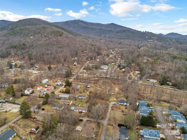 25 John Myra Ave, Black Mountain, NC 28711 - photo 8