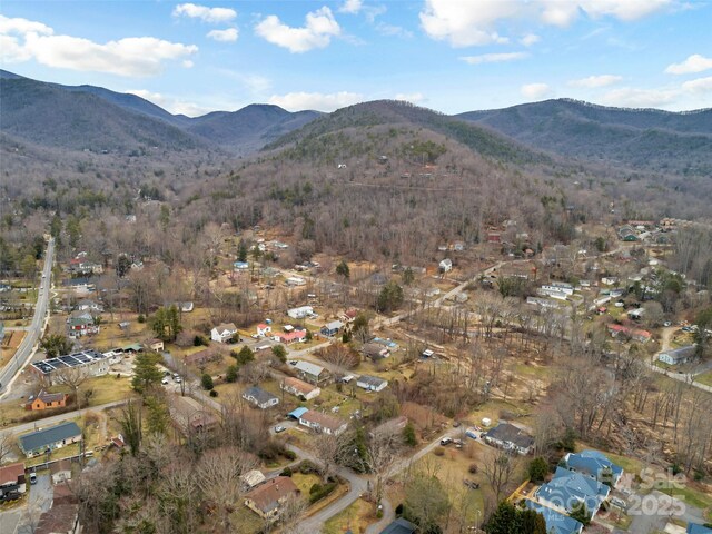 25 John Myra Ave, Black Mountain, NC 28711 - photo 9