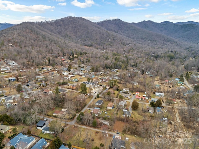 25 John Myra Ave, Black Mountain, NC 28711 - photo 12