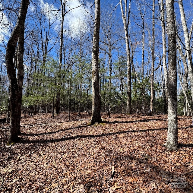 TRACT32-B Kentwood Ln, Pisgah Forest NC, 28768 land for sale