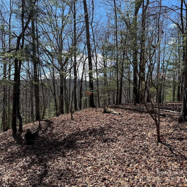 Listing photo 2 for TRACT32-B Kentwood Ln, Pisgah Forest NC 28768