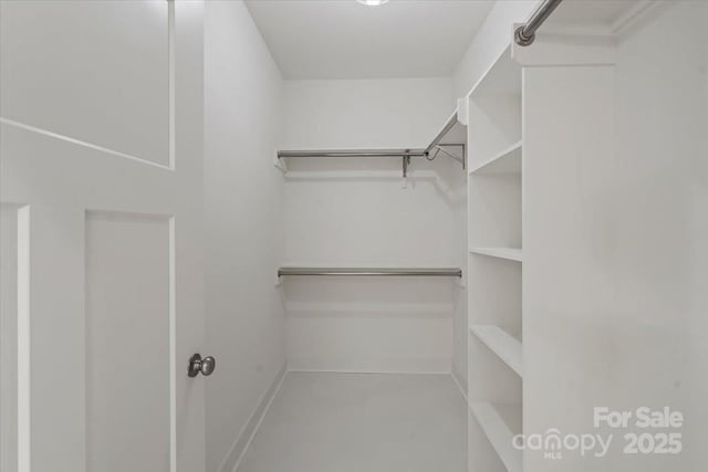 view of spacious closet