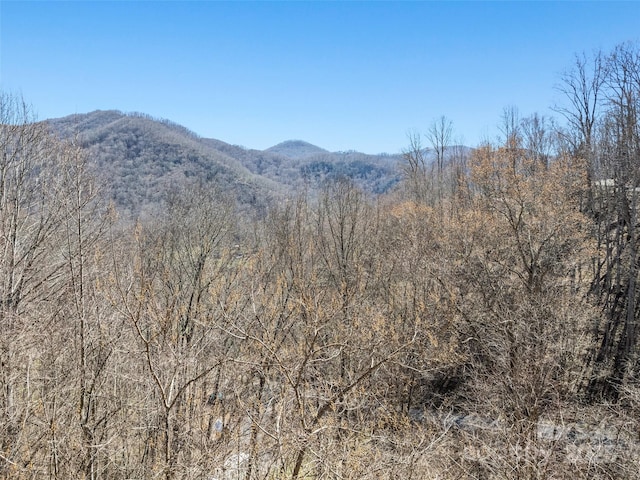 mountain view with a view of trees