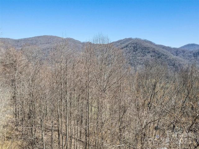 mountain view with a forest view