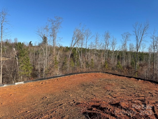 view of local wilderness with a forest view