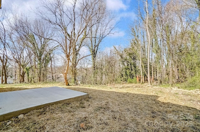 view of yard featuring a view of trees