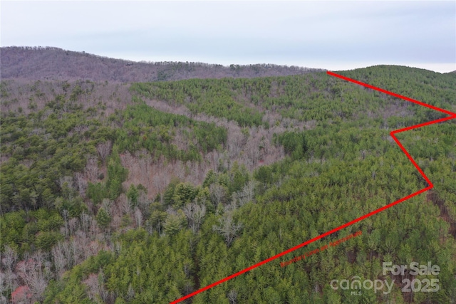 0 Wards Gap Rd, Casar NC, 28020 land for sale