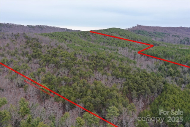 Listing photo 3 for 0 Wards Gap Rd, Casar NC 28020