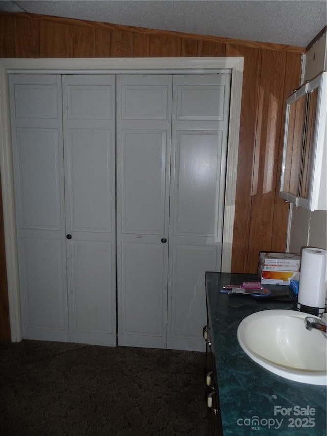 bathroom with vanity and wooden walls