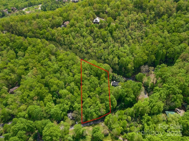 99999 Holland Dr Lot 25, Black Mountain NC, 28711 land for sale