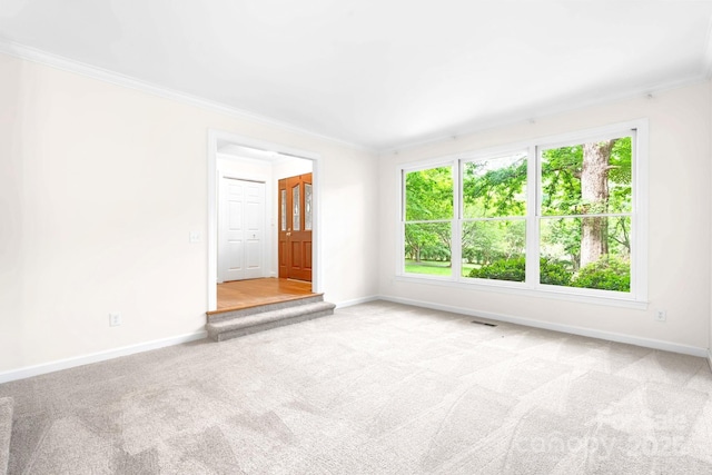 1080 Rolling Green Dr, Newton, NC 28658 - unfurnished room with carpet floors, baseboards, and ornamental molding