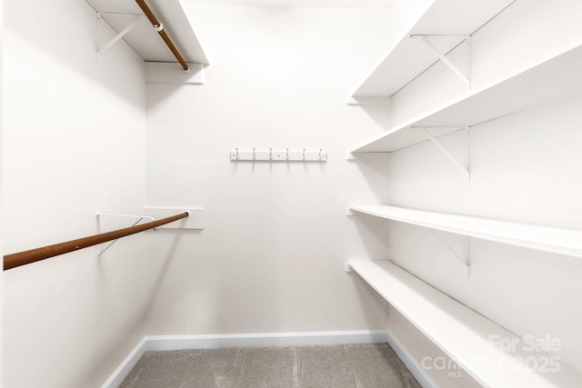 1080 Rolling Green Dr, Newton, NC 28658 - walk in closet with carpet floors