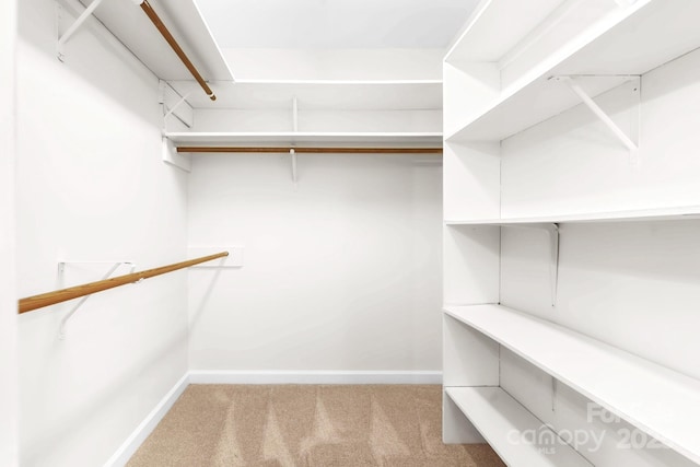 1080 Rolling Green Dr, Newton, NC 28658 - spacious closet featuring carpet flooring