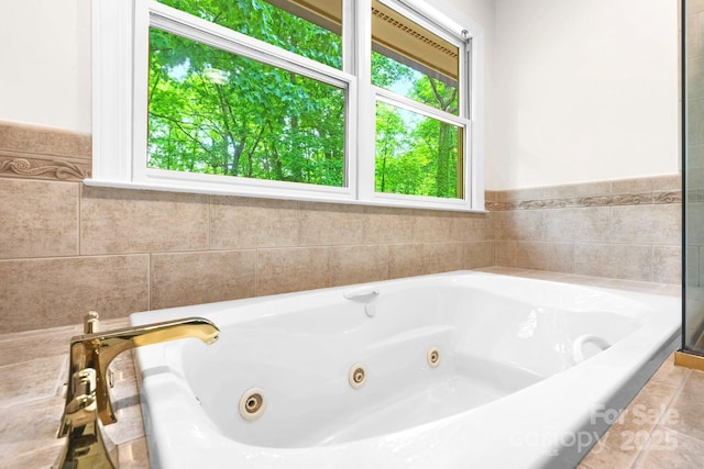 1080 Rolling Green Dr, Newton, NC 28658 - bathroom featuring a tub with jets