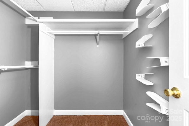 1080 Rolling Green Dr, Newton, NC 28658 - spacious closet featuring carpet flooring