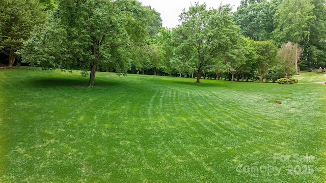 1080 Rolling Green Dr, Newton, NC 28658 - view of green lawn with view of wooded area
