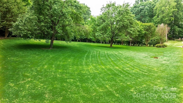 1080 Rolling Green Dr, Newton, NC 28658 - view of green lawn featuring view of wooded area