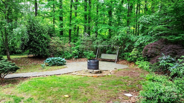 1080 Rolling Green Dr, Newton, NC 28658 - view of yard