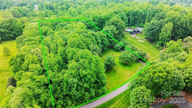 1080 Rolling Green Dr, Newton, NC 28658 - view of property location featuring property boundaries highlighted and a forest