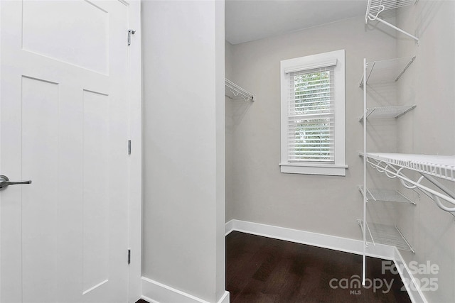 walk in closet with wood finished floors