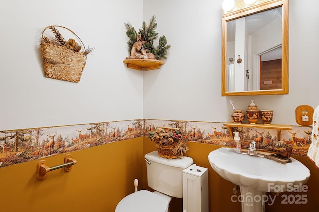 bathroom with a sink and toilet