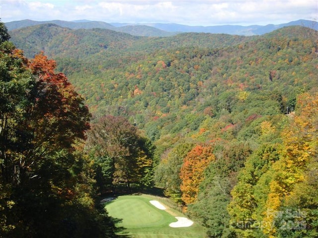 bird's eye view with a mountain view and a view of trees