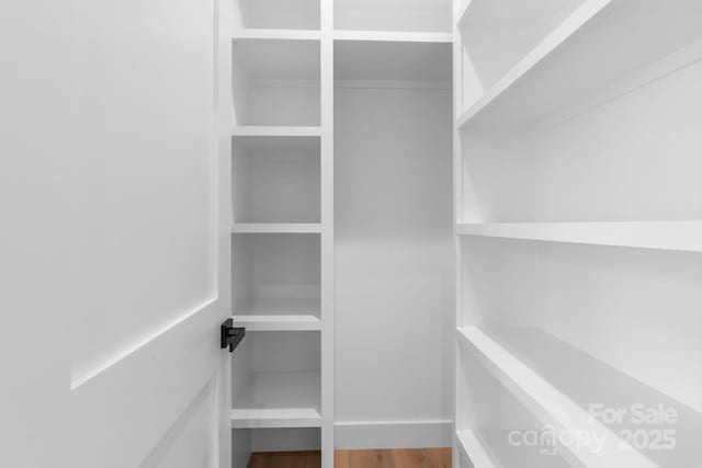 walk in closet with wood finished floors