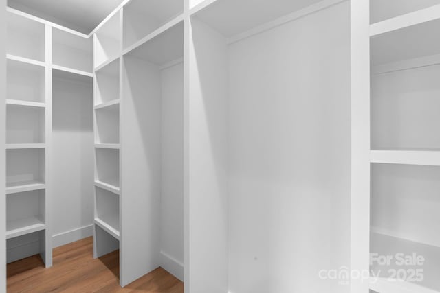 spacious closet featuring wood finished floors