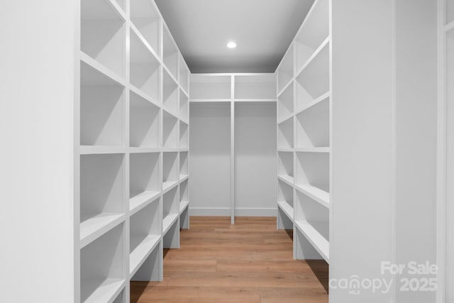 spacious closet featuring wood finished floors