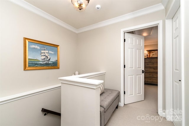 washroom with light colored carpet, attic access, and ornamental molding