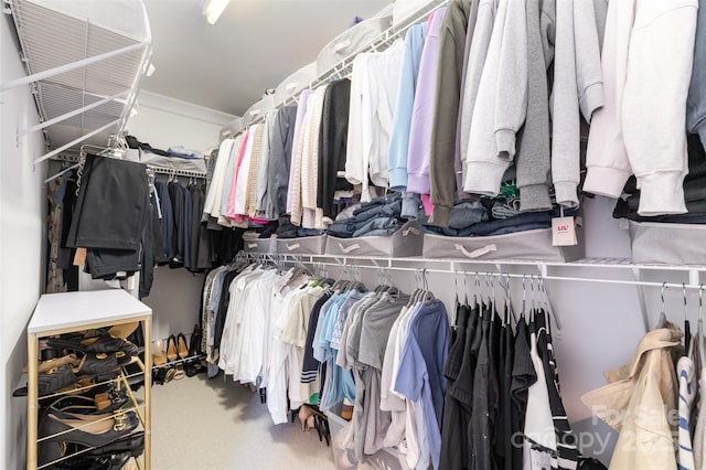 walk in closet featuring carpet flooring