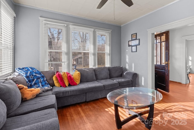 living area featuring crown molding, a ceiling fan, and wood finished floors