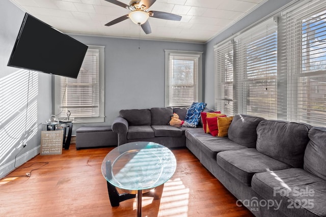 living area featuring a ceiling fan, crown molding, wood finished floors, and baseboards