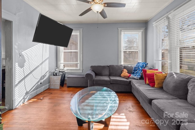 living area featuring a ceiling fan, crown molding, and wood finished floors