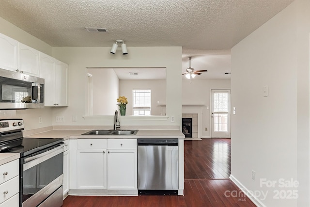 kitchen featuring visible vents, a wealth of natural light, stainless steel appliances, a ceiling fan, and a sink