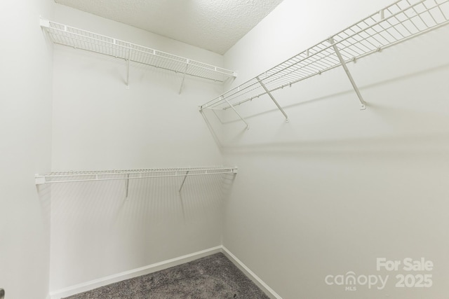 spacious closet featuring dark carpet