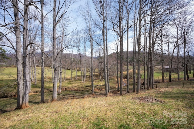 155 Parker Rd, Asheville, NC 28805 - view of yard