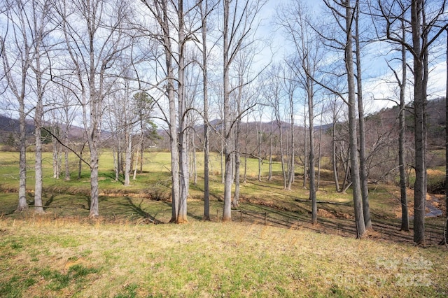 155 Parker Rd, Asheville, NC 28805 - view of yard