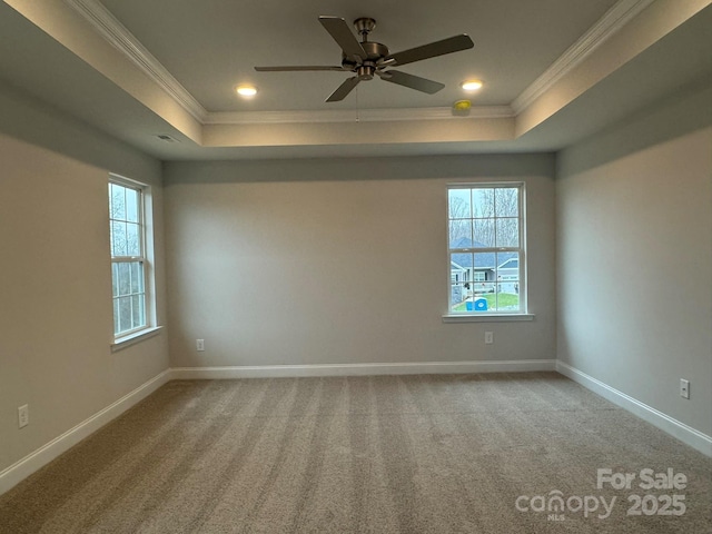 unfurnished room featuring a raised ceiling, plenty of natural light, and crown molding