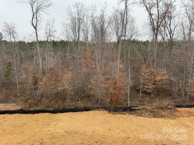 view of local wilderness featuring a wooded view