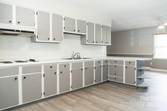 kitchen featuring a sink, a peninsula, under cabinet range hood, light wood-style flooring, and cooktop