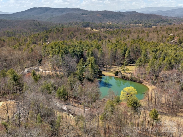 drone / aerial view featuring a forest view and a water and mountain view