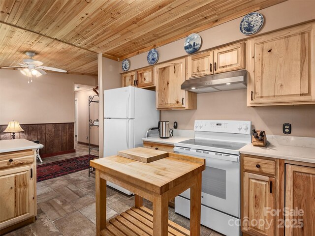 173 Cherokee Springs Trl, Hendersonville, NC 28739 - photo 11