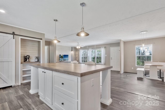 kitchen with white cabinetry, open floor plan, dark wood-style flooring, and a kitchen island