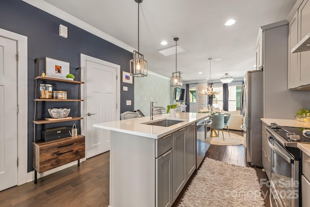 kitchen with a sink, an island with sink, gray cabinets, and stainless steel appliances