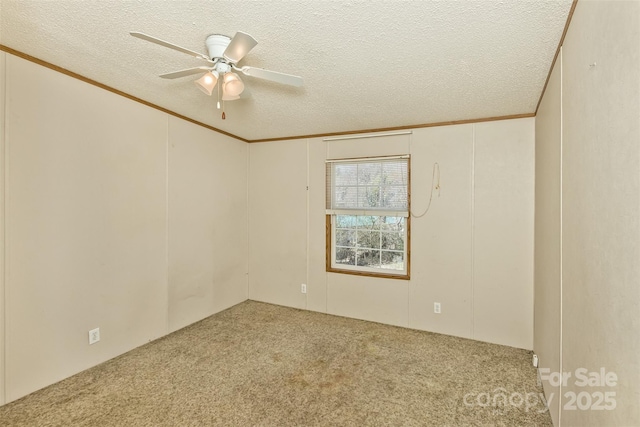 empty room with carpet floors, crown molding, ceiling fan, and a textured ceiling