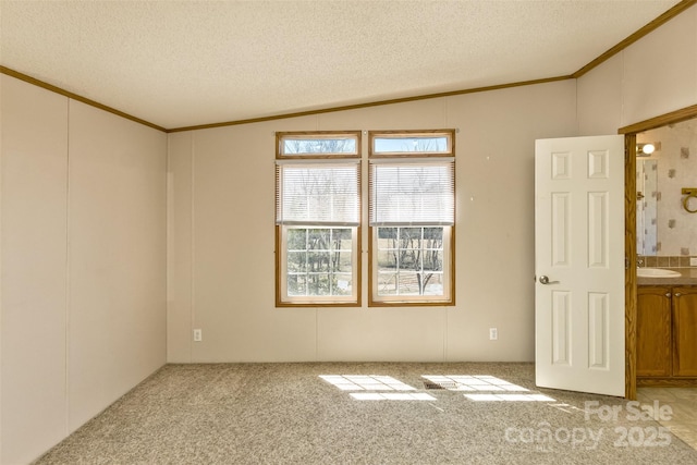 spare room with a textured ceiling, crown molding, and light carpet